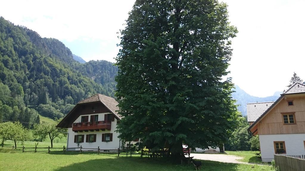 Farm Stay Juvanija Solcava Exterior photo